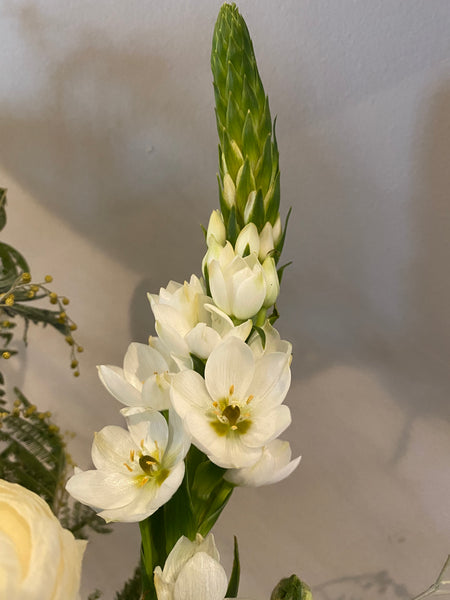 Choosing flowers for my monthly subscribers